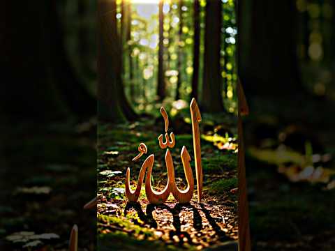 Wait for last moment 🥺🔥#usa #edit #youtubeshorts #ytshorts #trending #powerofallah