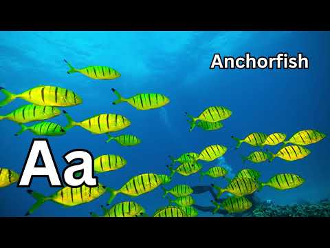 🎵 ABC Adventure Song | Brand-New Animals & Objects A–Z Alphabet Learning | Little Animal Melodies 🎵