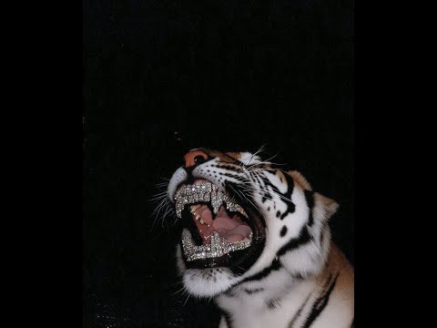 [free] zillakami grunge type beat "burning bridges"