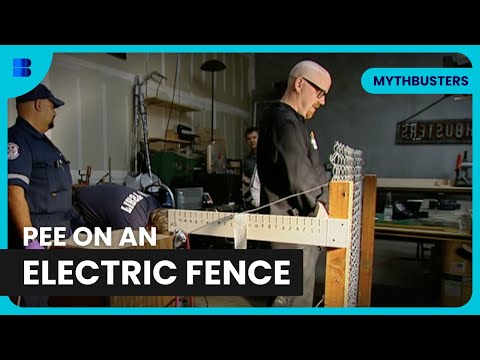 Who's the Best MythBuster? - MythBusters