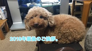 2019年最後のご挨拶。