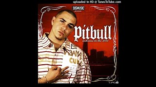 Pitbull Ft. Lil Jon  - 305 Anthem