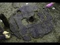Britain's oldest WHEEL unearthed at 'Pompeii of the Fens' reveals clues