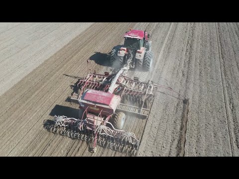 На полях работают все районы Гомельщины видео