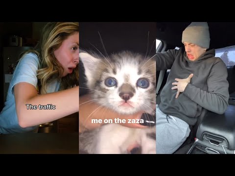 tiktoks that radiate weed energy [#25] - Fatally Stoned