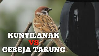 Download lagu MASTERAN CENDET SUARA KUNTILANAK VS GEREJA TARUNG mp3