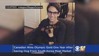 Olympic skater rescued a dog from the South Korea meat trade