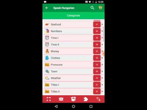Learn Hungarian Language App video thumbnail