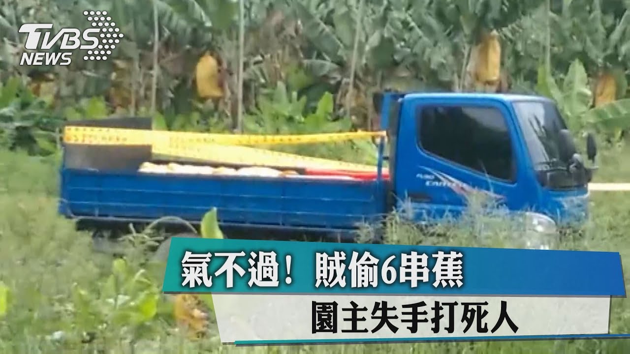 氣不過!賊偷6串蕉 園主失手打死人