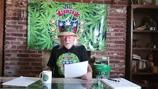 The American Toker review of Mellowz #8