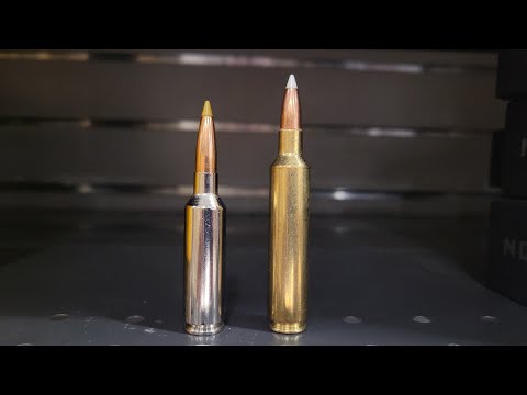 Accurate \u0026 Consistent: Nosler ASP | Gun Talk Videos