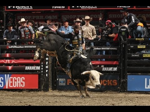 Professional Bull Riders 2013