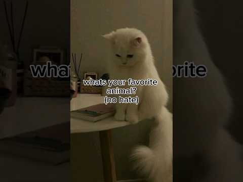 What's your favorite animal? (No hate) #viral