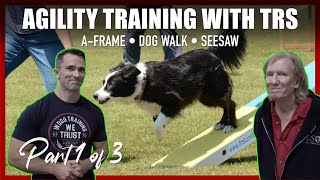 Learn How to Teach Your Dog Agility with The Tom Rose School.
