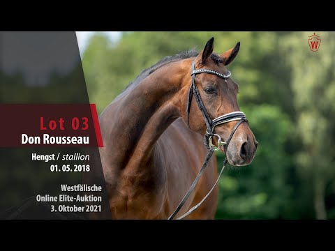 Online Elite-Auktion Lot 03 Don Rousseau Hengst v. Don Nobless -  Rousseau (ex: Rambo)