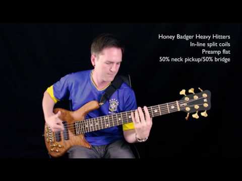 Comparison: Honey Badger Heavy Hitters & Delano SBC 6 HE/S bass guitar pickups