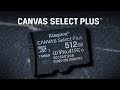 Kingston microSDXC-Karte Canvas Select Plus 256 GB