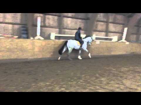 Cascadello - Cassini ll