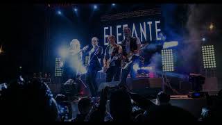 Elefante Te Quiero (Nueva Canción)