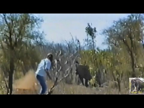 Biggest Kruger Park Idiot EVER. Idiot vs Rhino