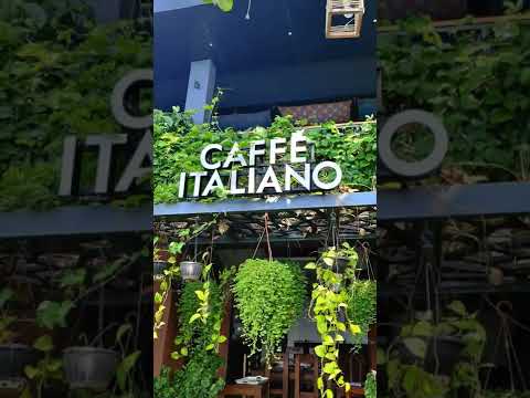 Varkala is not just a beach destination—it's a vibe! #shortvideo #beachlife #travelvlog #video 🏄