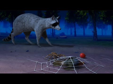 Anideos video.