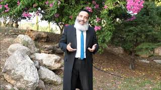 הרב פנגר - תפתחו את הזום