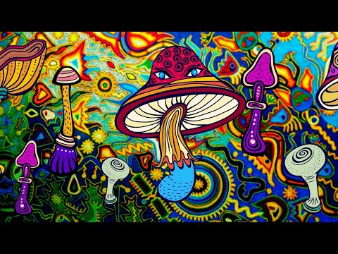 Cholo - Purimoksha 2013