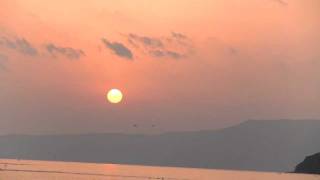 preview picture of video '秋の夕日桜島、錦江湾の海鳥達, Sunset of  Kinkoh bay and Seabirds'