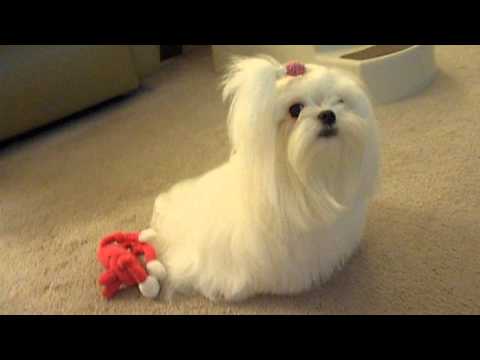 Happy Birthday to Eva!