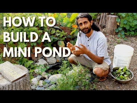 How to Build a Mini Pond