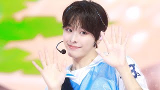 Download lagu [4K] 240721 NCT WISH RIKU 리쿠 으쌰으쌰! 직캠 | summer 가요대전 | 'Eusha! Eusha! Shinwha cover' fan cam mp3