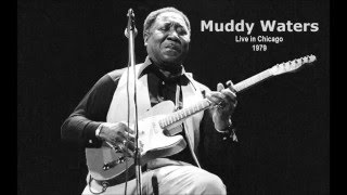 Muddy Waters : Live In Chicago 1979