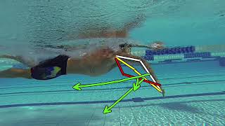 Freestyle Technique Explained Brenton Ford
