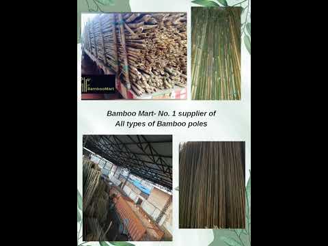 Bamboo Pole in All sizes