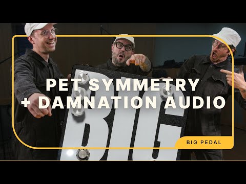 Damnation Audio Pet Symmetry BIG Pedal 2025 - Black image 5