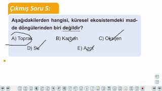 Eğitim Vadisi 11.Sınıf Coğrafya 3.Föy Enerji Akışı ve Madde Döngüsü 3 Konu Anlatım Videoları