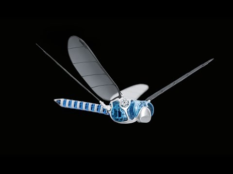 BionicTurtleWalker Review Video 4