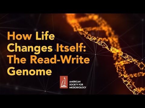 How Life Changes Itself: The Read-Write Genome by James Shapiro, PhD