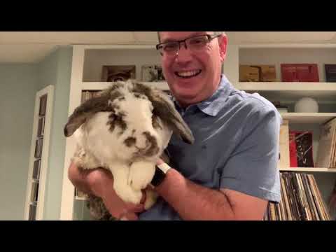 Beauteous Spirit recorded in support of the Great Lakes Rabbit Sanctuary