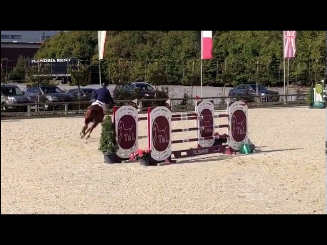 Father Matisse de Mariposa