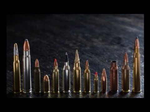 neulichinderjagdschule... Büchsenmunition mit der 447 Regel