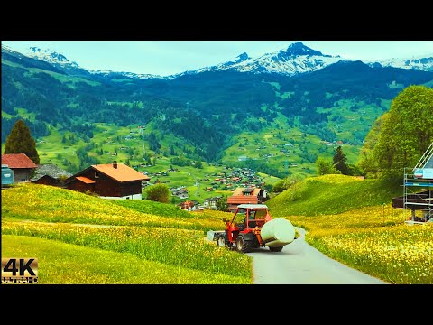 Grindelwald , Switzerland Walking Tour 4k 60fps | Tour of The most Beautiful Villages in the world