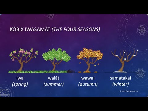 Let's Talk Taíno 58 - Four Seasons (Part 1) 🌷☀️🍂☃️