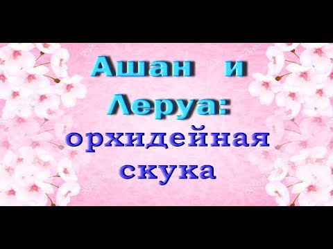 Орхидеи:ЛЕРУА и АШАН,скукотища и моя физиономия :))))