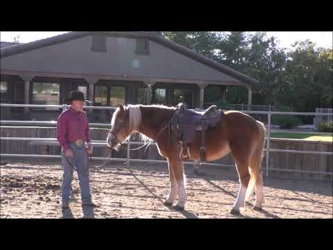 Episode 1 Problem Solving Horse Won't Stand Still to Mount