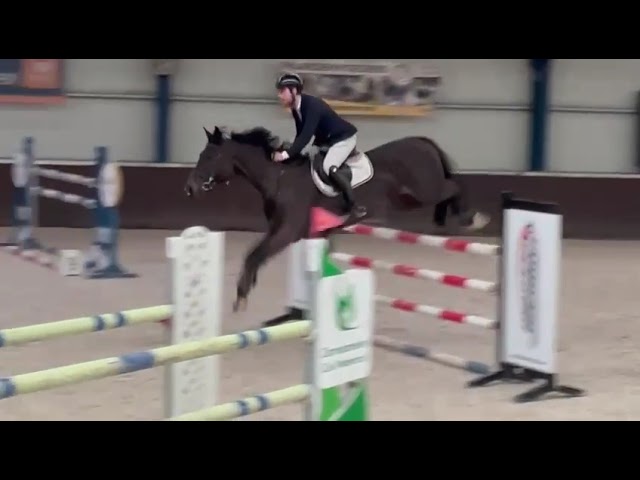 Contida Heldenlaan Z @ the show