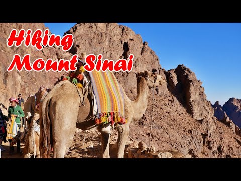 Hiking Mount Sinai (Egypt) - Egypt,Jordan,Israel ep20 - travel video calatorii vlog tourism