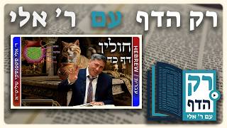 חזרה - חולין דף כד | "רק הדף" עם ר' אלי סטפנסקי