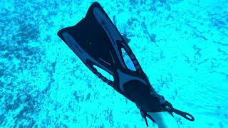 Cozumel 2023 Day 1, Dive 1, Part 1